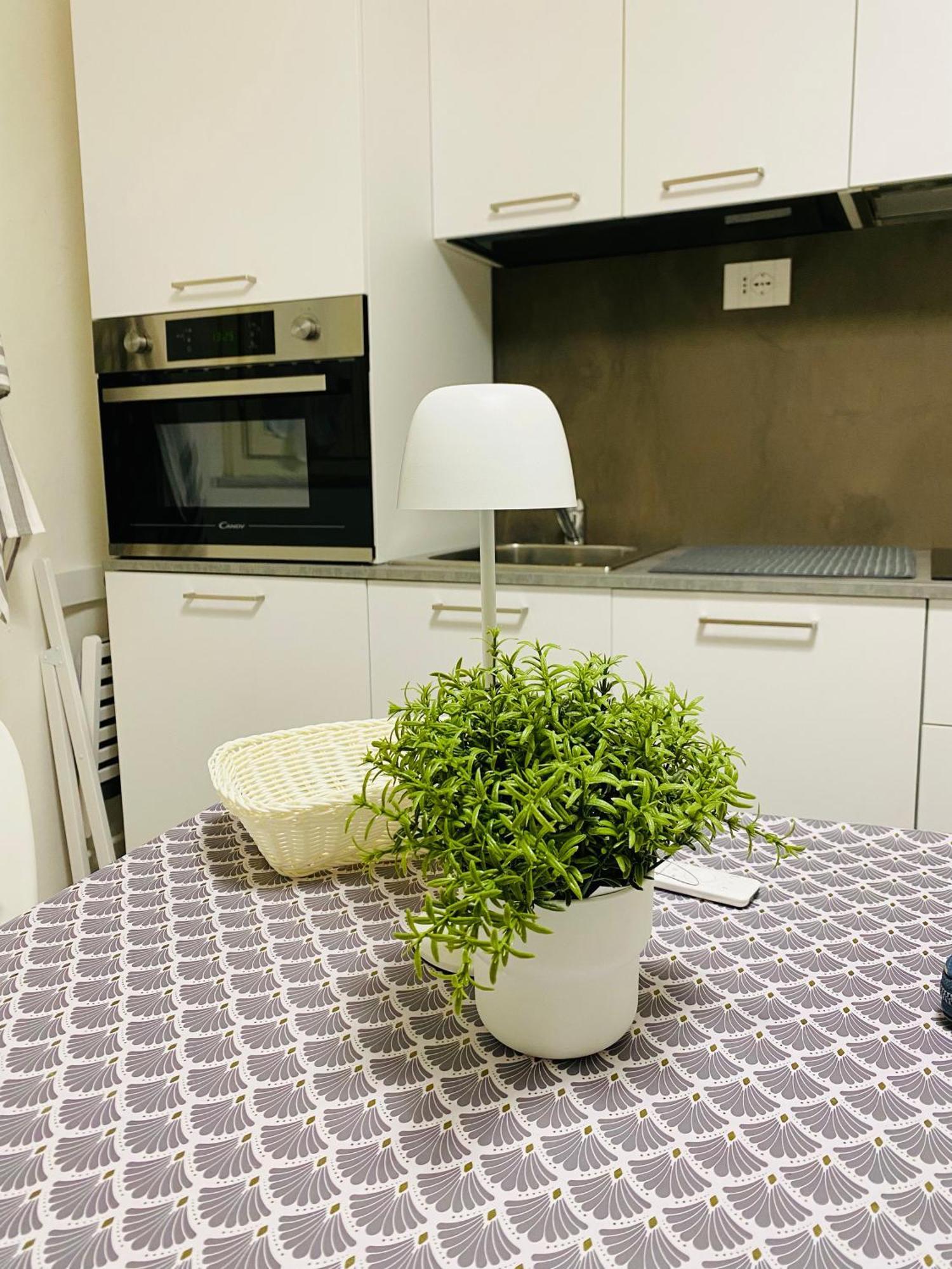 II Sogno Nel Vicolo Apartman Pisa Kültér fotó
